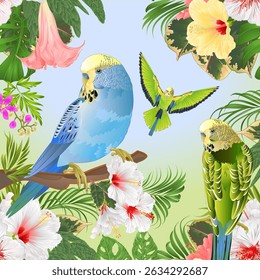 Budgies blue and green tropical birds with tropical plants watercolor vintage vector ilustration editable hand draw