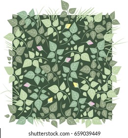 Buds of roses. Vector illustration