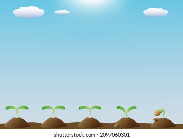 Buds sprouted in the field under the blue sky
