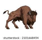 Buffalo - American Bison. Engraving or etching style hand-drawn vector illustration.