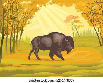 Buffalo - American Bison. Retro style illustration