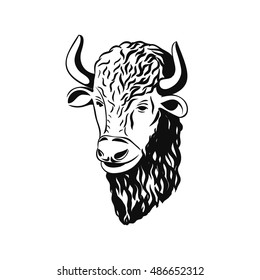 Buffalo animal. Hand drawn vector bison isolated on white background.
