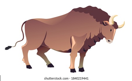 Buffalo animal with long horns and angry expression, isolated muskox or ox, horned mammal. Wildlife and fauna environment, bull with scary face. Bullfight or corrida cow, vector in flat style