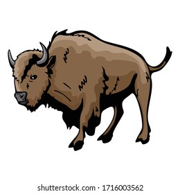 Buffalo Animal Vector Illustration Template Icon Collection
