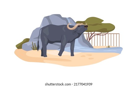 Buffalo in bioreserve, African bovine animal in menagerie, ox in zoo. Animal conservation park with habitat and ecosystem. Zoological garden and nature reserve. Flat cartoon, vector illustration