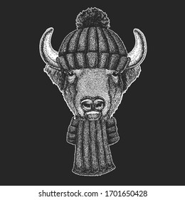 Buffalo, bison, bull head. Portait of animal.