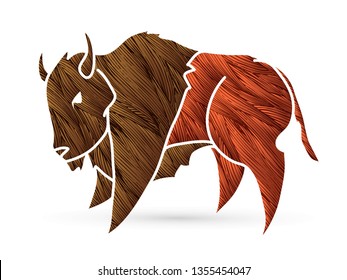 Buffalo Bison graphic vector