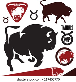 Buffalo. Bison. Taurus.