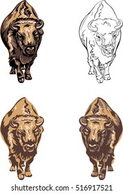 buffalo, bison, vector, american, nature, illustration, bull, animal, white, black, color