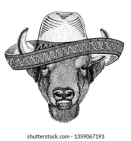 Buffalo, bison,ox, bull wearing traditional mexican hat. Classic headdress, fiesta, party.