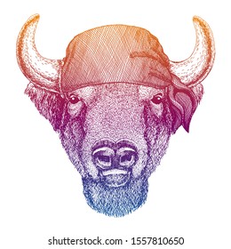Buffalo, bison,ox, bull. Wild pirate or biker. Vector animal portrait. Sailor, motorcyclist. Print for children clothing, tee. Kids fashion.