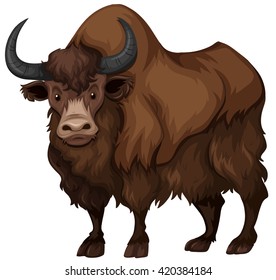 Buffalo with brown fur illustration