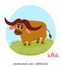 Buffalo bull in cartoon style. Vector illustration of wild animal isolated on white background. Cute zoo alphabet, letter B. Illustration used for magazine, poster, card, book, web pages.