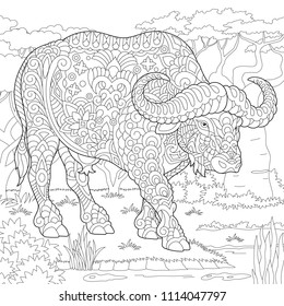 Buffalo. Bull. Coloring Page. Colouring picture. Adult Coloring Book idea. Freehand sketch drawing. Vector illustration.