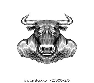 Bull de búfalo. Un animal de moda. Dibujo a mano Dibujo grabado antiguo monocromo. Ilustración vectorial para camiseta, tatuaje, placa o impresión.