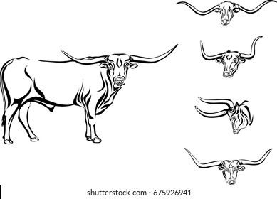 buffalo  bull  head  horns  vector  picture  longhorn