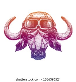 Buffalo, bull, ox. Wild animal. Vector fashion illustration for kids. Children shirt print with biker, motorcycle symbol.