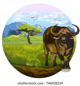 Buffalo, bull, Taurus, horoscope, character .Vector illustration