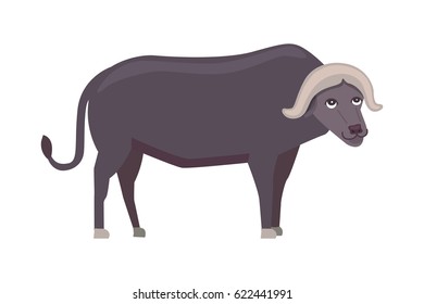 Buffalo cartoon vector illustration isolated