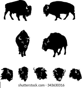 buffalo, color, black, illustration, isolation, figure, silhouette, portrait, various postures of the animal, buffalo head and figure