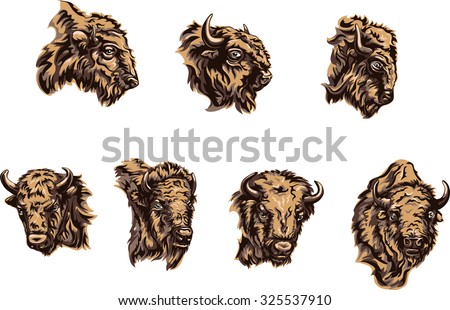 buffalo, color illustration, portrait, various postures of the animal, buffalo head Stock photo © 