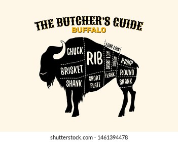 Buffalo cutting charts vector horizontal poster illustration for butchers shop guide. Label for farm design