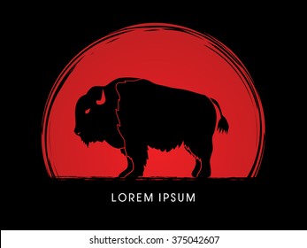 Buffalo designed on sunset background graphic vector