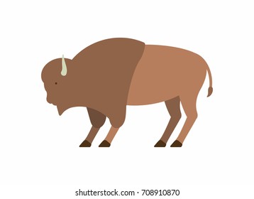 Buffalo in flat style on white background