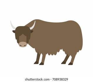 Buffalo in flat style on white background