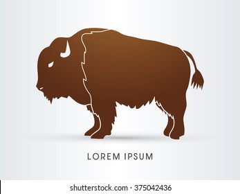 Buffalo graphic vector