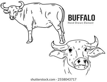 The buffalo with a hand drawn black ink looks intact and has a head shape. Suitable for ornament designs, coloring books, and animal design elements