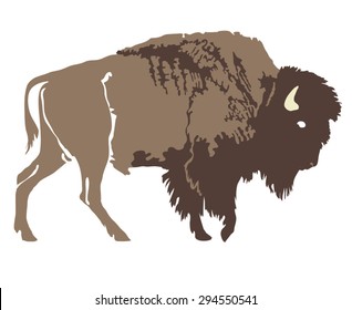 Buffalo. Hand-drawn illustration. Design for logo, t shirt, bag etc.