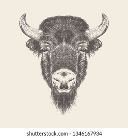 Buffalo Head Illustration vector in hand drawn design.