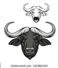 Buffalo head vector cartoon mascot, african savanna animal. Wild ox, carabao or bison bull with fused horns and gray muzzle, mascot of hunting, sport club