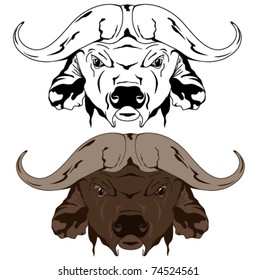 buffalo head vector illustration