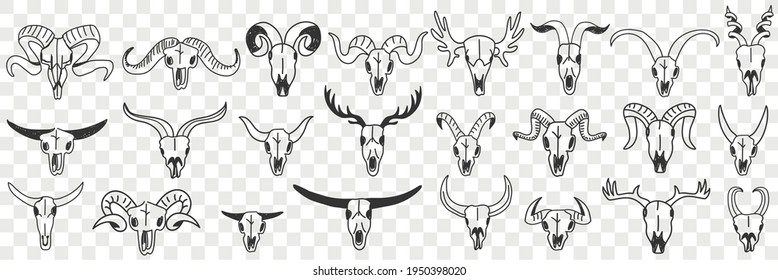 Buffalo horns as decorations doodle set