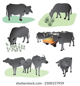 Buffalo Illustration, Buffalo Drawing, Buffalo Vector, Sketch, Buffalo Artwork, Farm Animal Illustration, Bovine Vector, Horned Animal Art,