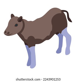 Buffalo kid icon isometric vector. American bison. Animal prairie