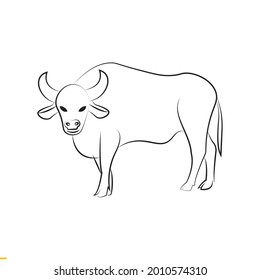 Buffalo Line Art Vector logo Design for Business and Company