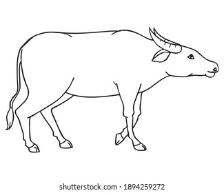 carabao black and white clipart