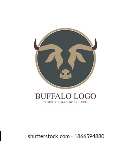 Buffalo logo design with circular shape