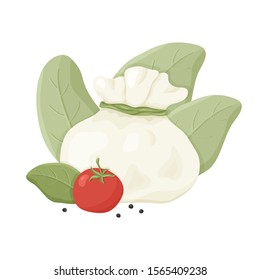 Buffalo milk Italian cheese burrata with black pepper, tomato, basil. Hand drawn cartoon illustration. Handmade dairy. Isolated vector image on white background. Color flat concept poster or banner