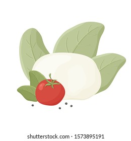 Buffalo milk Italian cheese mozzarella with black pepper, tomato, green basil. Hand drawn cartoon illustration.  Isolated vector image on white background. Color flat concept poster or banner