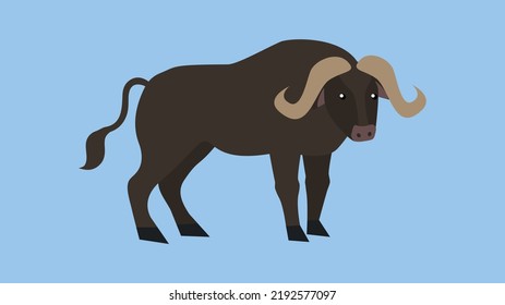 búfalo sobre fondo azul