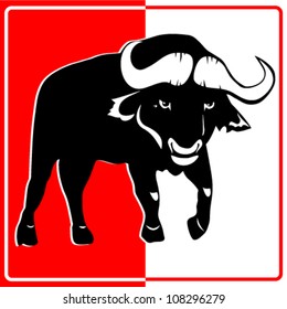 Buffalo on a red white background