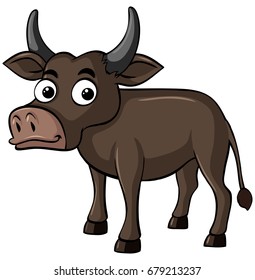 Buffalo on white background illustration