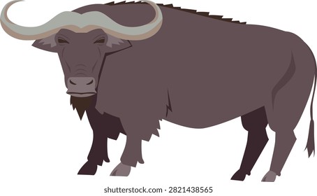 Buffalo on white background. Vector illustration in a flat style.