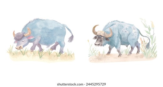 búfalo arando los campos acuarela Ilustración vectorial 