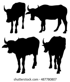 Buffalo Set - Vector
