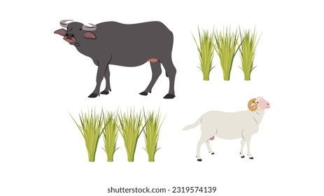 Buffalo and Sheep are animals that are usually used as livestock. Apart from that, during the Eid al-Adha holidays, they are also used as sacrificial animals.